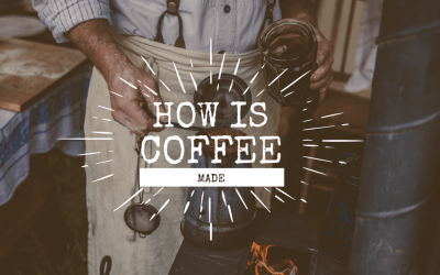 How Coffee is Made: From Ground to Grounds